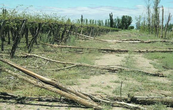 El “Fenómeno del Niño” pegó fuerte en San Juan El “Fenómeno del Niño” pegó fuerte en San Juan