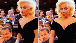 Perlita de Oro Perlita de Oro