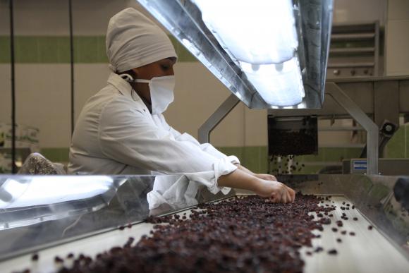 El Niño y la inflación marcan la cancha de la pasa de uva El Niño y la inflación marcan la cancha de la pasa de uva