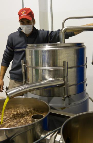 Buscan salidas al problema de los residuos olivícolas Buscan salidas al problema de los residuos olivícolas