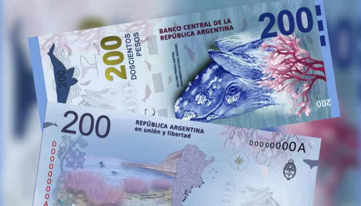 Intendente de Puerto Madryn dice que modificarán la ballena del billete de 200 pesos Intendente de Puerto Madryn dice que modificarán la ballena del billete de 200 pesos
