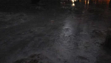 Por el desborde de un canal, se inundó el Jardín de los Poetas Por el desborde de un canal, se inundó el Jardín de los Poetas