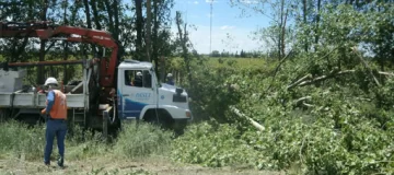 Un extraño tornado sorprendió a los vecinos de una localidad sarmientina Un extraño tornado sorprendió a los vecinos de una localidad sarmientina