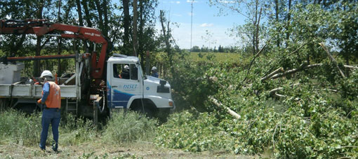 Un extraño tornado sorprendió a los vecinos de una localidad sarmientina Un extraño tornado sorprendió a los vecinos de una localidad sarmientina