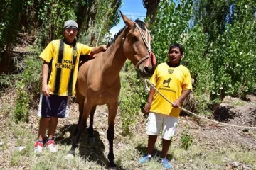 Un medio alternativo y a veces obligatorio Un medio alternativo y a veces obligatorio