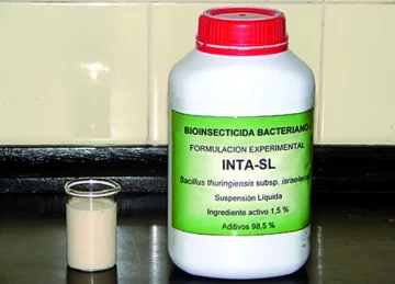 Desarrollaron un bioinsecticida, en base a bacterias, que mata al vector Desarrollaron un bioinsecticida, en base a bacterias, que mata al vector