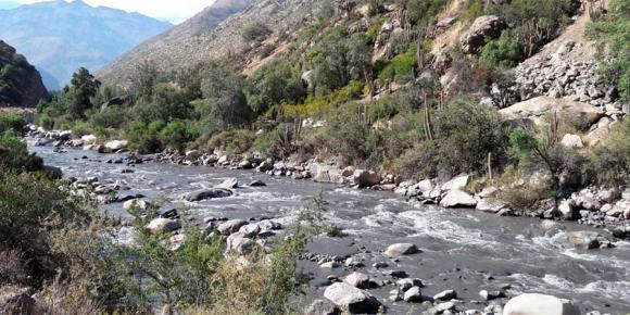 Un derrame minero afectó a un río chileno Un derrame minero afectó a un río chileno