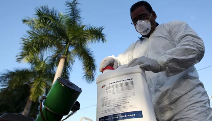 La OMS anticipó que el zika “empeorará antes de mejorar” La OMS anticipó que el zika “empeorará antes de mejorar”
