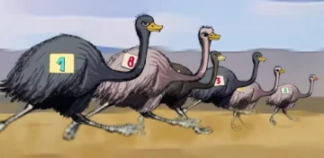 ¡Que se encienda el proyector! ¡Que se encienda el proyector!