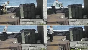 ¿Héroe o villano? Le tiró un perro a un oso polar para que lo ataque ¿Héroe o villano? Le tiró un perro a un oso polar para que lo ataque