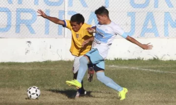 Del Bono no pudo, Árbol Verde sumó Del Bono no pudo, Árbol Verde sumó
