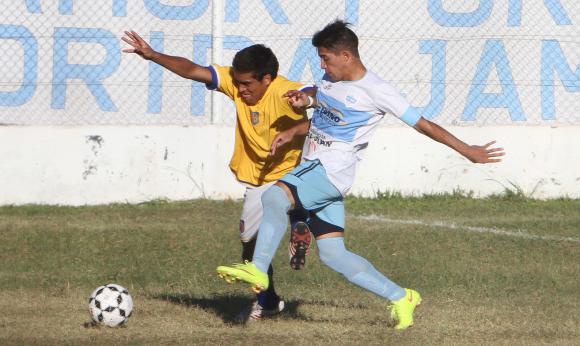 Del Bono no pudo, Árbol Verde sumó Del Bono no pudo, Árbol Verde sumó