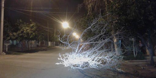 El Sur llegó con todo y el frío se hace sentir El Sur llegó con todo y el frío se hace sentir