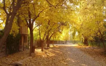 El otoño se adelantó, ¿por qué? El otoño se adelantó, ¿por qué?