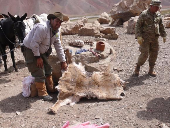 Multan a chilenos por matar animales Multan a chilenos por matar animales