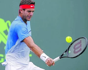 Del Potro sufrió y cayó con Zeballos Del Potro sufrió y cayó con Zeballos