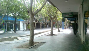 El sábado no habrá comercio y andarán menos colectivos El sábado no habrá comercio y andarán menos colectivos