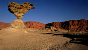 Conocé las nuevas tarifas del Parque Ischigualasto Conocé las nuevas tarifas del Parque Ischigualasto