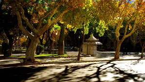 Después del verano atípico, llega un otoño más “normal” Después del verano atípico, llega un otoño más “normal”