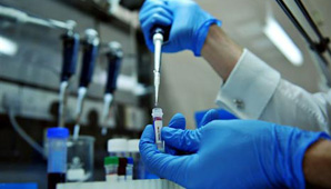 Dengue: científicos creen haber hallado la clave de la vacuna Dengue: científicos creen haber hallado la clave de la vacuna