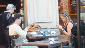 ¿El celular te convirtió en una persona maleducada? ¿El celular te convirtió en una persona maleducada?