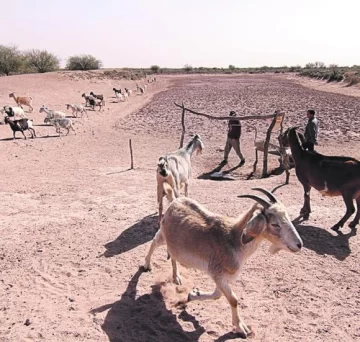 Comunidad huarpe, beneficiada por ley de agricultura provincial Comunidad huarpe, beneficiada por ley de agricultura provincial