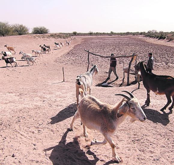 Comunidad huarpe, beneficiada por ley de agricultura provincial Comunidad huarpe, beneficiada por ley de agricultura provincial