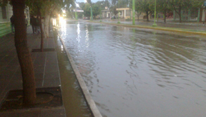 El viento llegó acompañado de una copiosa lluvia en Caucete El viento llegó acompañado de una copiosa lluvia en Caucete