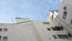 El curioso método que usan en un edificio sanjuanino para espantar las palomas El curioso método que usan en un edificio sanjuanino para espantar las palomas