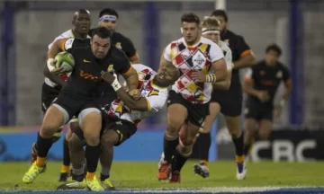 Jaguares recuperados Jaguares recuperados