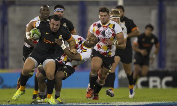 Jaguares recuperados Jaguares recuperados