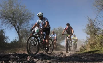 Nikizanga multitudinaria Nikizanga multitudinaria