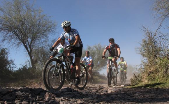 Nikizanga multitudinaria Nikizanga multitudinaria