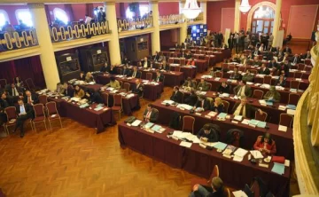 Parlamentarios no tendrán sueldo y Strada se molestó Parlamentarios no tendrán sueldo y Strada se molestó