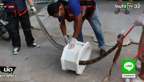 Como en una pesadilla Como en una pesadilla