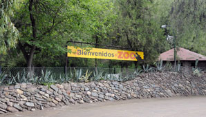 Murieron otros 14 animales durante el fin de semana en el zoológico de Mendoza Murieron otros 14 animales durante el fin de semana en el zoológico de Mendoza