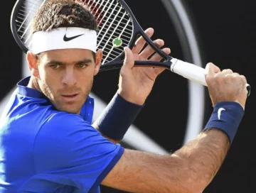Del Potro avanzó a semifinales en Alemania Del Potro avanzó a semifinales en Alemania