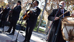 Músicos volvían a Tucumán y chocaron contra un caballo: un hombre grave Músicos volvían a Tucumán y chocaron contra un caballo: un hombre grave