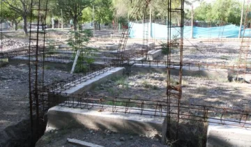 Ana María, en contra de las pericias del CIC Ana María, en contra de las pericias del CIC