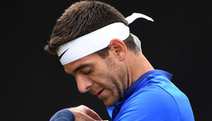 Del Potro se clasificó a los cuartos de final en el césped de Stuttgart Del Potro se clasificó a los cuartos de final en el césped de Stuttgart