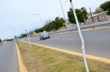 Por vandalismo tuvieron que reponer 200 árboles Por vandalismo tuvieron que reponer 200 árboles