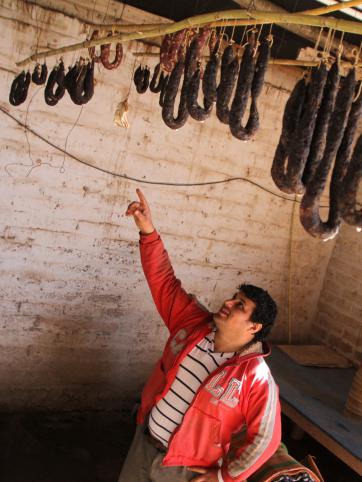 Les robaron hasta jamones Les robaron hasta jamones