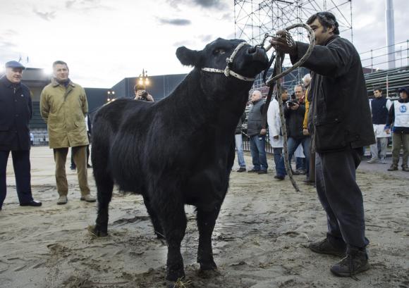 Macri aceptó y abrirá la Rural Macri aceptó y abrirá la Rural