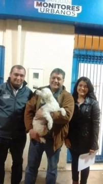 Una monitor fue clave en la restitución de un caniche Una monitor fue clave en la restitución de un caniche