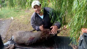 Un cazador murió baleado por policías en La Pampa Un cazador murió baleado por policías en La Pampa