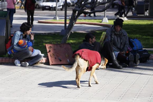 Día Internacional del Perro Callejero: postales de color, en el centro sanjuanino Día Internacional del Perro Callejero: postales de color, en el centro sanjuanino