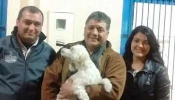 Monitores multifacéticos: ahora ayudaron a una chica a encontrar a su perro Monitores multifacéticos: ahora ayudaron a una chica a encontrar a su perro