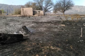 Un incendio intencional arrasó con unas 70 ha y 50 animales Un incendio intencional arrasó con unas 70 ha y 50 animales