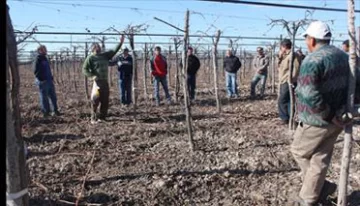 Capacitan a productores en la técnica de confusión sexual para eliminar una plaga Capacitan a productores en la técnica de confusión sexual para eliminar una plaga