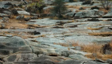 Qué esconde esta foto Qué esconde esta foto